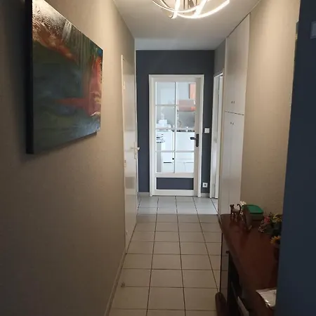 3 Pieces De 63m2 Avec Terrasse,parking Et Wifi Bajonna