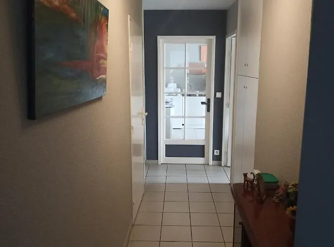 3 Pièces De 63m2 Avec Terrasse,parking Et Wifi Bayonne